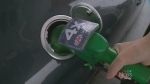 Record high gas prices