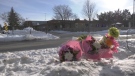 A memorial of flowers for a 10-year-old girl who died after being hit by a driver outside of her Kingston, Ont. school. Feb. 1, 2022 (Kimberley Johnson/CTV News Ottawa)