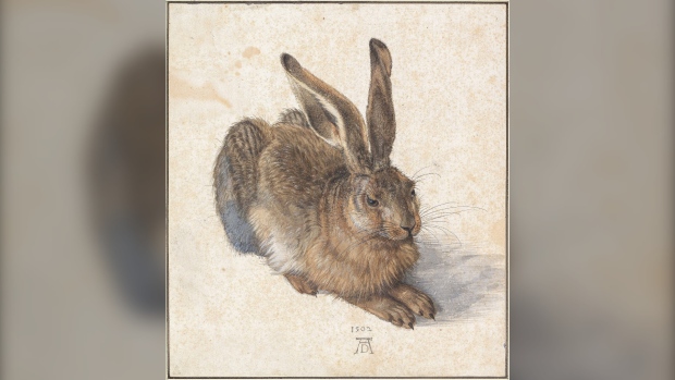 Durer drawing bought for US$30 at yard sale worth more than $10 million, experts say