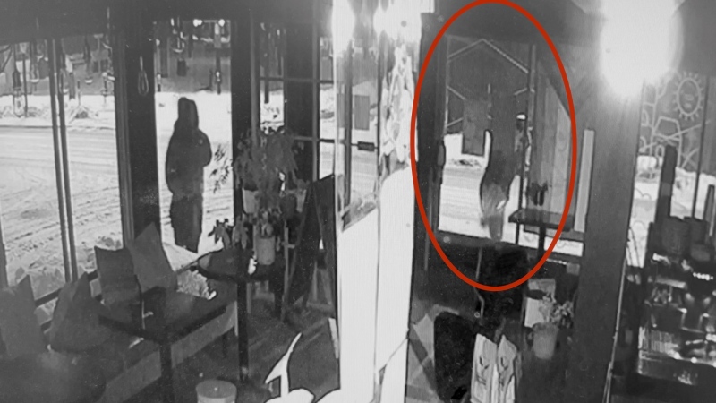 Security footage shows the window being smashed at Happy Goat Coffee Company on Elgin Street. (Photo courtesy: Happy Goat Coffee Company)