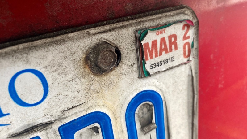 A licence plate sticker is seen in this undated photograph. (Francis Gibbs/CTV  News Toronto)