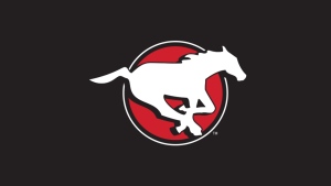 The Calgary Stampeders logo. (Calgary Stampeders)