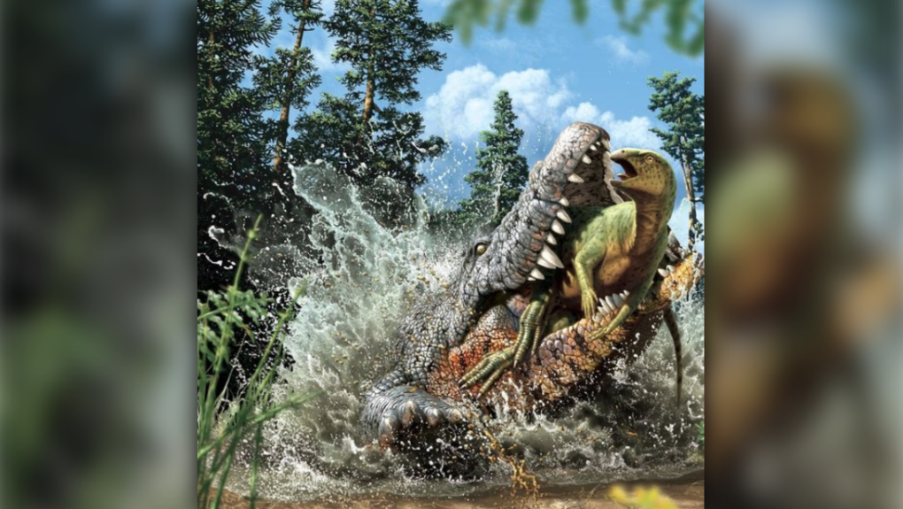 Dino-croc