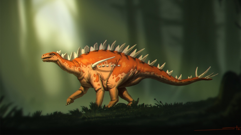 Bashanosaurus primitivus
