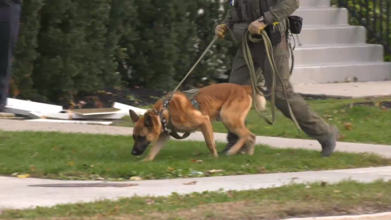 The Barrie Police Services K9 Unit - file image (CTV News Barrie)