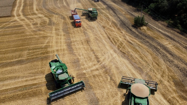 Konflik Ukraina dapat menyebabkan kekurangan gandum global