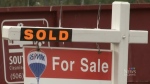 For sale sign 