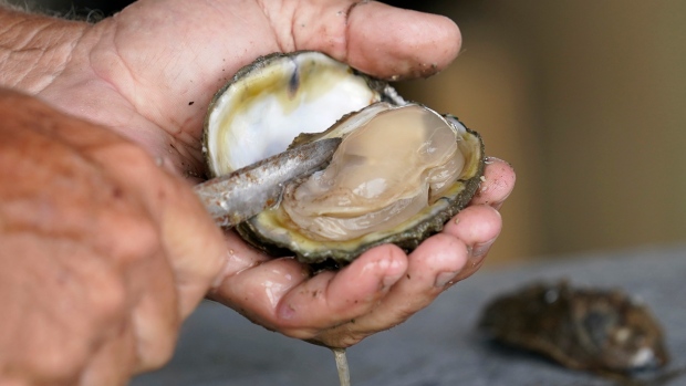 Chef Creek Oysters mengingat kemungkinan kontaminasi norovirus