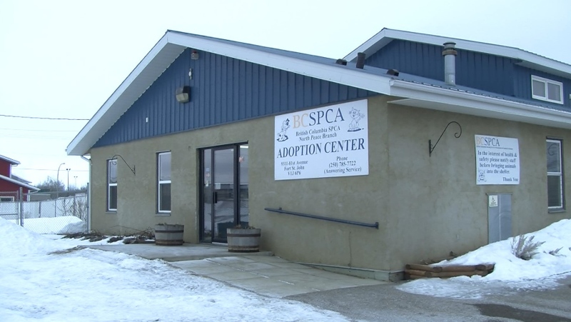 Front portion of North Peace BCSPCA building