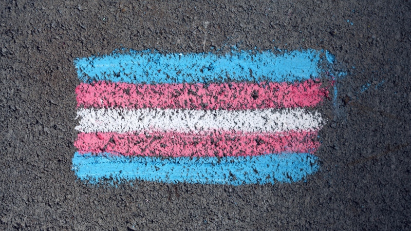 A transgender flag is seen painted on a sidewalk in this file photo. (Pexels)