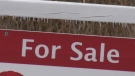 For Sale sign in Simcoe Muskoka. (Kraig Krause/CTV News)