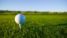 A golf ball is seen resting on a tee in a stock photo. (Getty Imgaes)