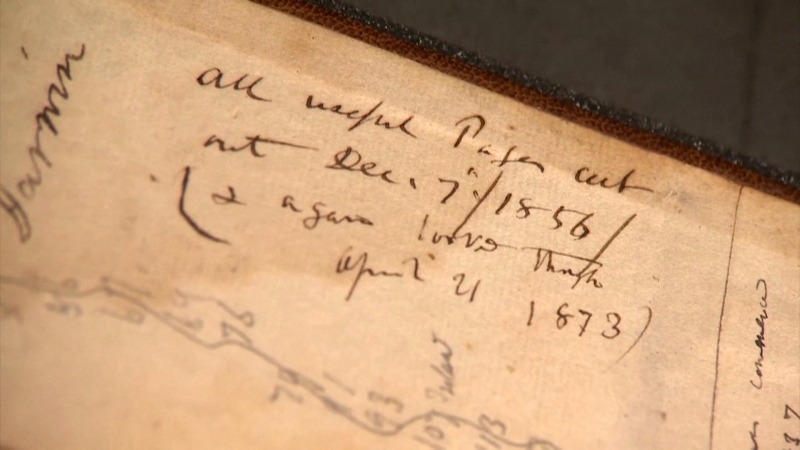 Missing Darwin notebooks returned after 20 years