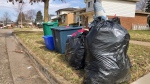 Waste sits on a curb in Waterloo Region on April 11, 2021. (Dan Lauckner/CTV Kitchener)