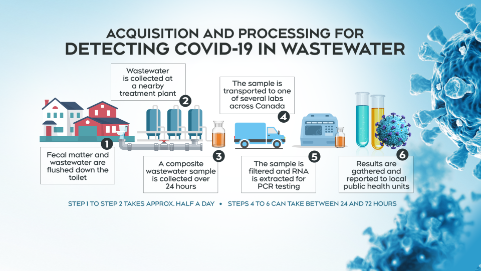 COVID-19 detection in wastewater graphic