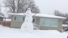 A giant snowman is seen on a front lawn on Moray Street in Winnipeg following the blizzard on April 14, 2022. (Submitted: Terry Cooper)