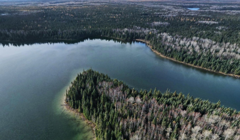 The Nature Conservancy of Canada has launched what it says is the largest single private conservation project in Canadian history. The Boreal Wildlands project, located near Hearst, will see roughly 1,500 square kilometres protected, an area twice the size of Toronto. (Supplied)