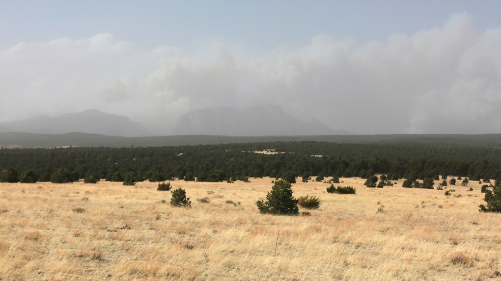 new mexico wildfires