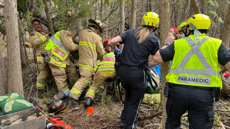 Ottawa firefighters and paramedics help a man who was trapped under a tree on Flewellyn Road April 25, 2022. (Ottawa Fire Service/Twitter)