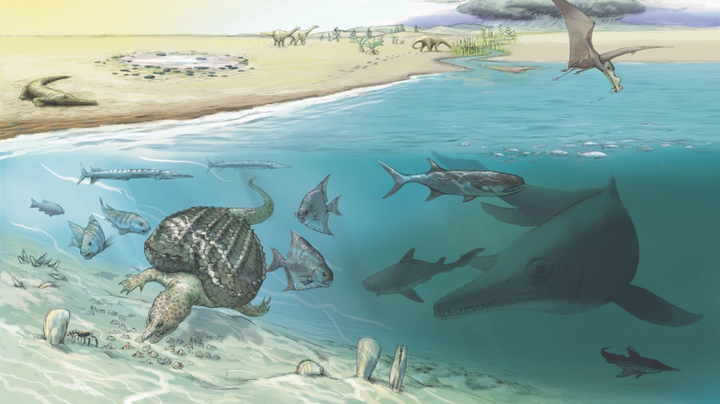 ichthyosaurs