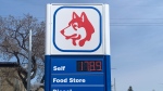 A Saskatoon gas station sign is shown in a May, 4, 2022 photo. (Tyler Barrow/CTV News)