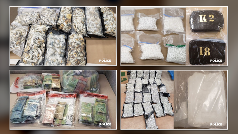 Ottawa police seized cannabis, psilocybin, cocaine and cash when officers executed search warrants at six homes in Ottawa on Friday. (Ottawa Police Service)