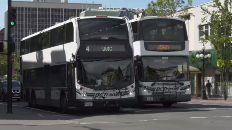 BC Transit buses are pictured in downtown Victoria. (CTV News)