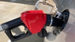 A car is shown at a gas pump, Friday, Jan. 21, 2022, at a gas station in North Miami, Fla. (AP Photo/Wilfredo Lee) 