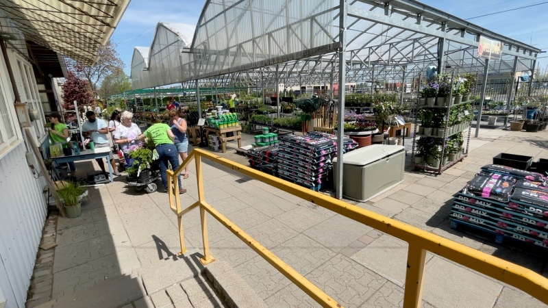 Gardeners line up to purchase plants at Peter Knippel Nursery and Garden Centre in Ottawa on Friday. (Peter Szperling/CTV news Ottawa)