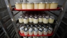 Trays of breast milk sit in containers in a cooler at the Mothers' Milk Bank for distribution to babies Friday, May 13, 2022, at the foundation's headquarters in Arvada, Colo. (AP Photo/David Zalubowski)