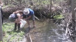 Sudbury Creek gets help in restocking fish