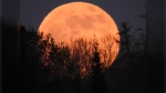 Blood moon lunar eclipse seen in Timmins. May 15/22 (Marcel Heroux)
