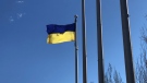 The Flag of Ukraine is flying outside of Brandon City Hall (Photo source: Cody Carter/CTV News Winnipeg)