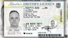 A sample Alberta driver's licence (Supplied).