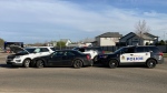 The three police cruisers that performed a vehicle takedown in northeast Edmonton on Monday, May 16, 2022 (CTV News Edmonton/Brandon Lynch).