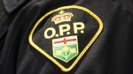 An Ontario Provincial Police logo is shown during a press conference on Wednesday, April 3, 2019. THE CANADIAN PRESS/Nathan Denette