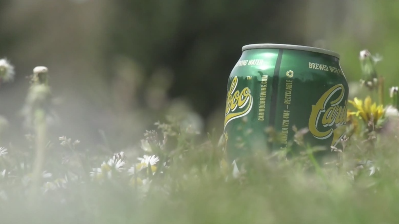 The Vancouver Park Board approved a pilot project allowing drinking in 22 parks for a second summer.
17-VAN-PARKDRINKS
