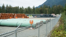 Pipes for the Trans Mountain pipeline project are seen at a storage facility near Hope, B.C., Tuesday, Sept. 1, 2020. THE CANADIAN PRESS/Jonathan Hayward