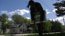 Simcoe North Green Party candidate Krystal Brooks puts her election sign on a lawn in Orillia, Ont. on Tues., May 17, 2022 (Kraig Krause/CTV News)