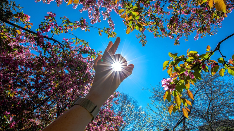 A sunny spring day in Ottawa. (Photo by Sandra Ivleva on Unsplash)