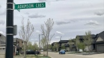 Adamson Cres. in Edmonton. (Evan Klippenstein/CTV News Edmonton)
