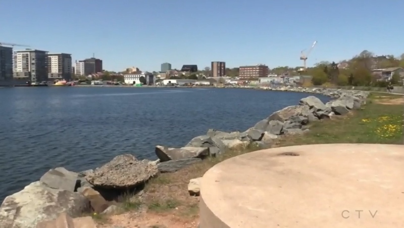 An application by a private company to infill Dartmouth Cove with pyritic slate and other forms of rock will soon be considered by Transport Canada.