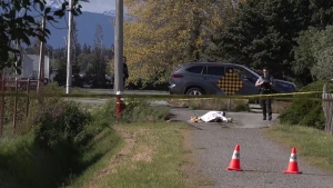Images from the scene show a white tarp – likely covering the body – on a gravel path just off of the road. Both sides of the path can be seen behind police tape. (CTV)