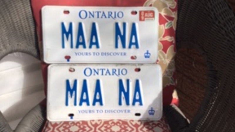Carolyn Johnston's Ontario licence plate is photographed, which expired in August 2009 (Supplied).