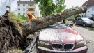 A worker removes a fallen free that fell on a car in Lippstadt, Germany, a day after heavy rains and a tornado hit the area, Saturday, May 21, 2022. (David Inderlied/dpa via AP)