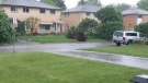 Major storm damage after a severe thunderstorm rolled through London, Ont. on May 21, 2022. (Source: Michelle Pettit)