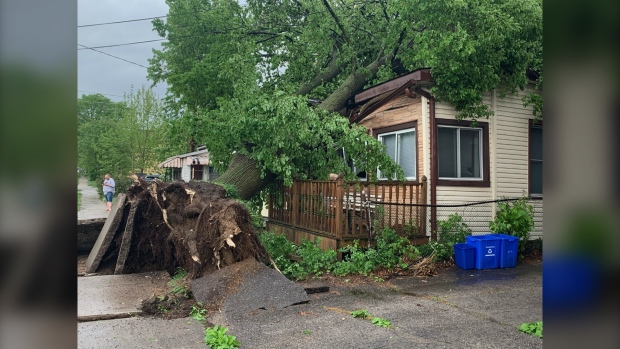 A severe thunderstorm rolled into London, Ont. late Saturday morning and caused significant damage. This was the scene at Ontario Street and Lorne Avenue. (Brent Lale/CTV News London)