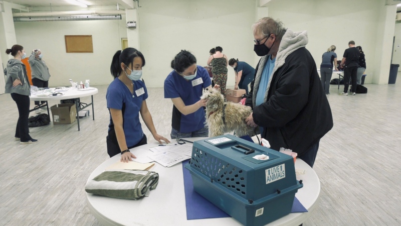 The free vet clinic called Helping Paws is a volunteer-based program made up of local veterinarians, animal technicians and reception staff who give pet owners basic care for their furry loved-ones. (CTV)