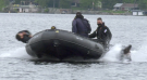 Navy Reservists from HMCS York were conducting routine training exercises in Muskoka on Sat. May 21, 2022 (Steve Mansbridge/CTV News Barrie)