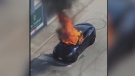 Owner escapes after Tesla catches fire